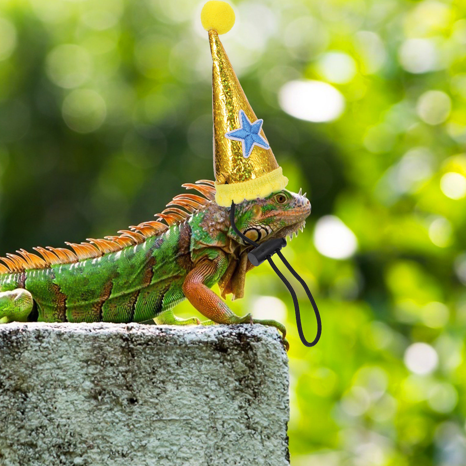 Party Hat Cone - 1Pcs Halloween Pet Lizard Hat Soft