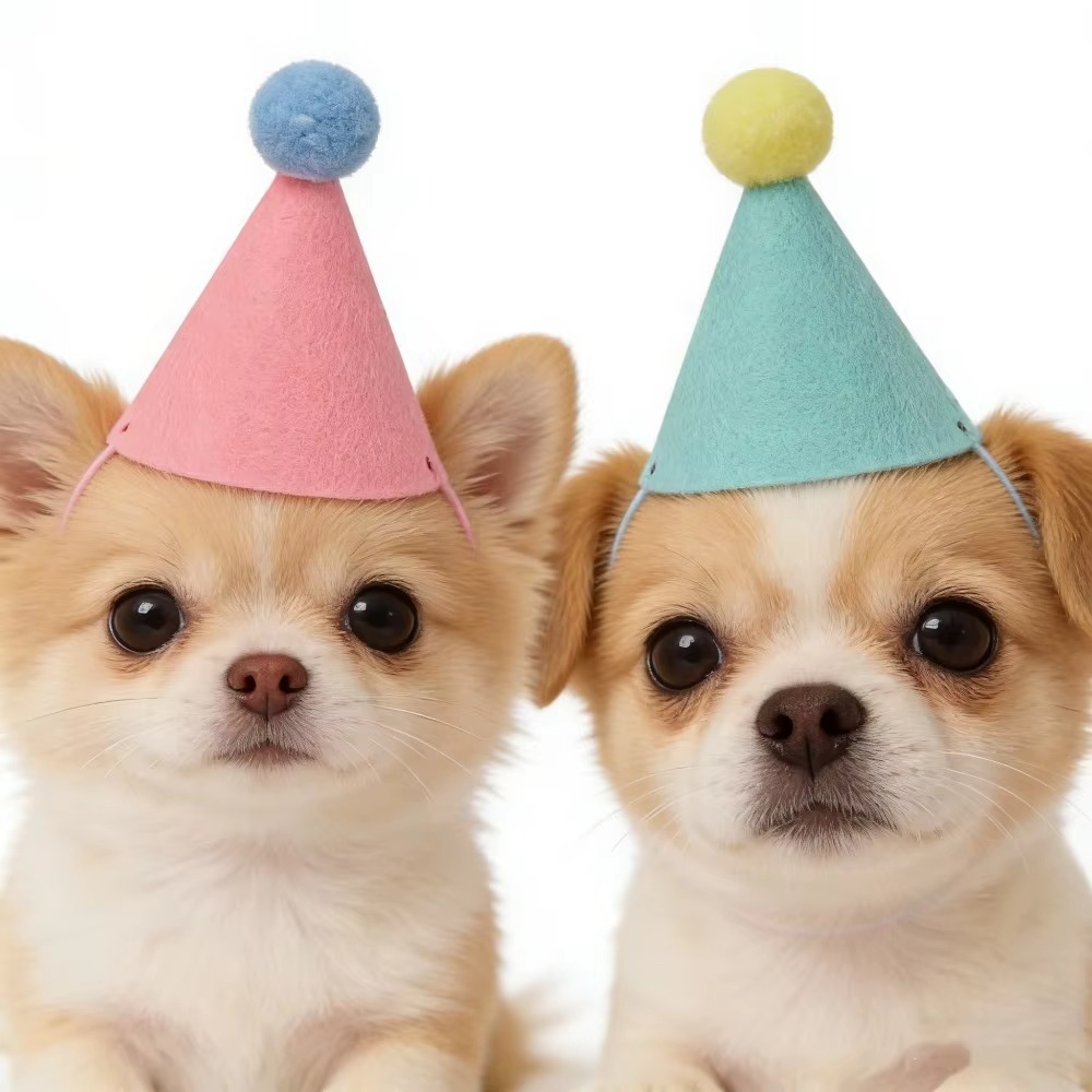 6/12pcs Cute Mini Pet Party Ha - Party Hat Cone review and price