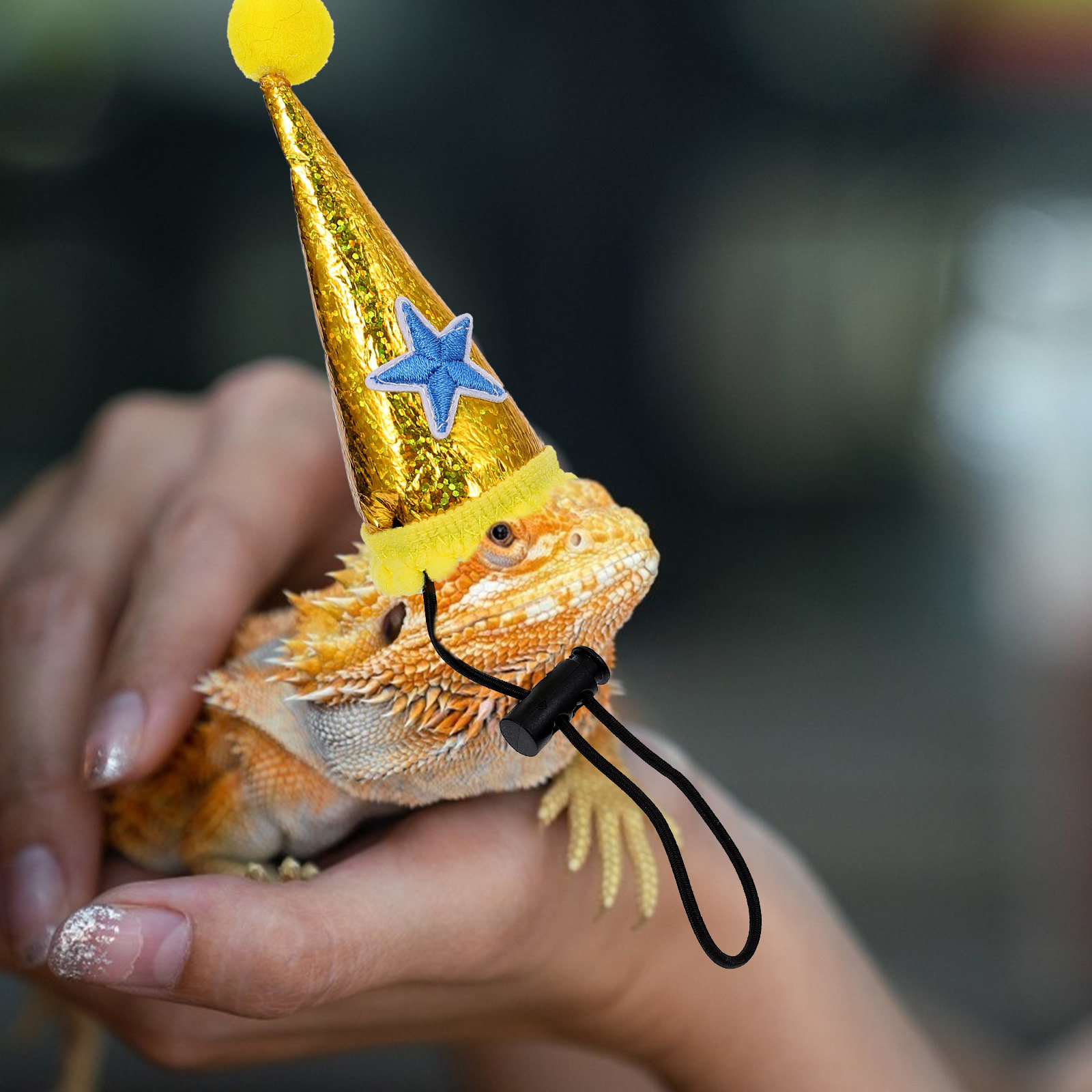 1Pcs Halloween Pet Lizard Hat  - Party Hat Cone review and price